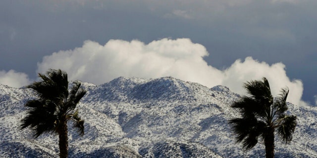 Two palms trees are backdropped by snow-covered mountains in Hesperia, Calif., Wednesday, March 1, 2023.