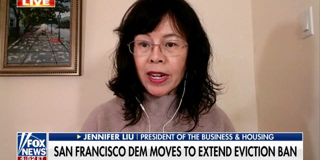 President of the Business and Housing Network Jennifer Liu joined 'Fox &amp; Friends First' to discuss why the proposal 'doesn't make sense.'