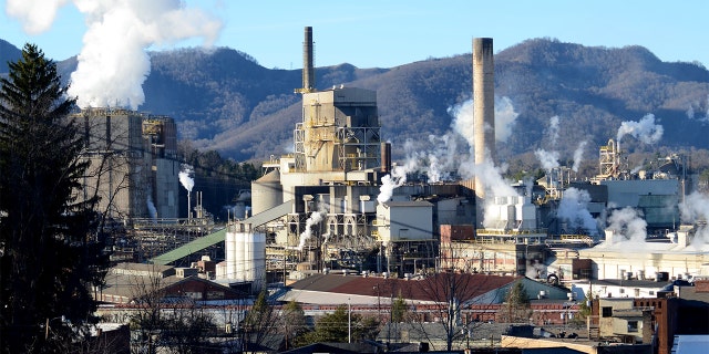 A paper carton mill is pictured in Canton, North Carolina, in 2014.