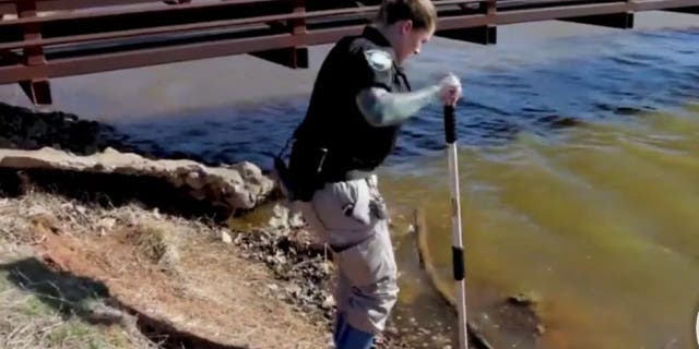 Oklahoma City Animal Welfare worker removing a drowned dog from a lake.