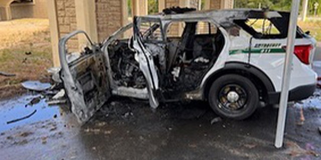 A Seminole County Sheriff's Office patrol vehicle caught fire after crashing into a bridge.