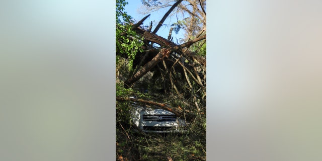 A car parked along Lynda Circle in Red Bank, Tenn. is seen under a fallen tree following storms on Friday, March 3, 2023.