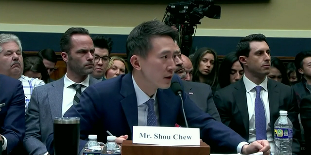 TikTok CEO Shou Zi Chew testified before a congressional panel on Thursday regarding security concerns surrounding the Chinese-owned app.