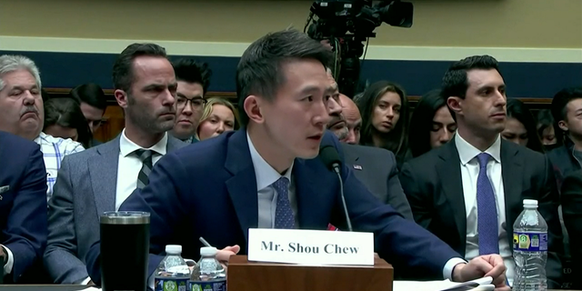 TikTok CEO Shou Zi Chew testified before a congressional panel on Thursday regarding security concerns surrounding the Chinese-owned app.