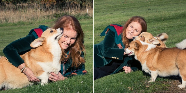 A side by side photo of Sarah Ferguson on grass playing with Queen Elizabeth II's two surviving corgis