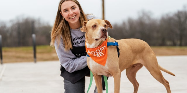 Best Friends Animal Society aims to make America's shelters kill-free by 2025 — and offers cageless spaces for animals needing a home.