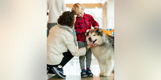Best Friends Animal Society's Susan Cosby says the new Best Friends Pet Resource Center in Bentonville, Arkansas, aims to connect animals with people.