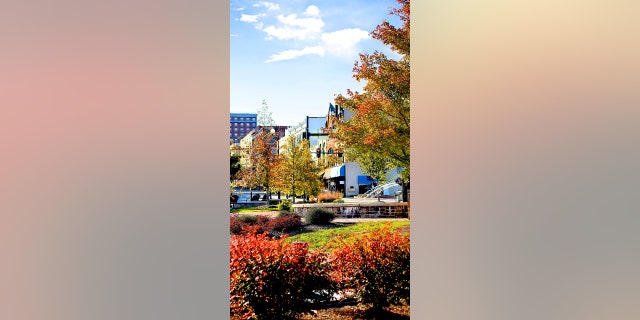 【lettuce】Ferguson Jenkins' hometown to honor Hall of Famer with statue