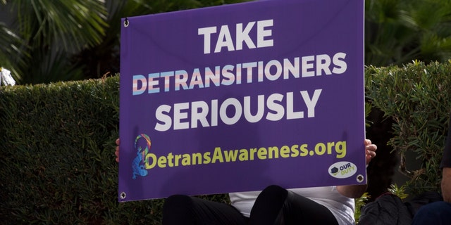 A participant in the Detransition Awareness Day rally holds up a sign urging people to take detransitioners seriously.