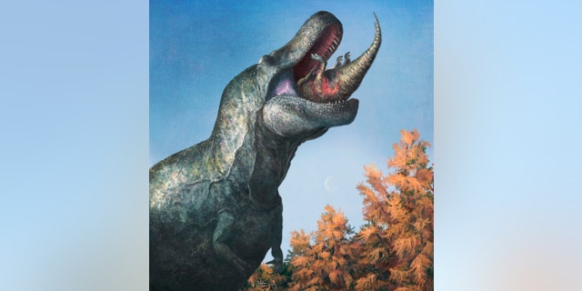 Eine Illustration eines jungen Edmontosaurus, der von einem Tyrannosaurus Rex mit Lippen gefressen wird