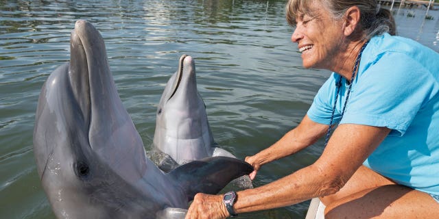 In this photo provided by the Florida Keys News Bureau, Linda Erb, vice president of animal care and training at Dolphin Research Center in the Florida Keys, greets bottlenose dolphins at DRC on March 27, 2023, in Marathon, Florida.