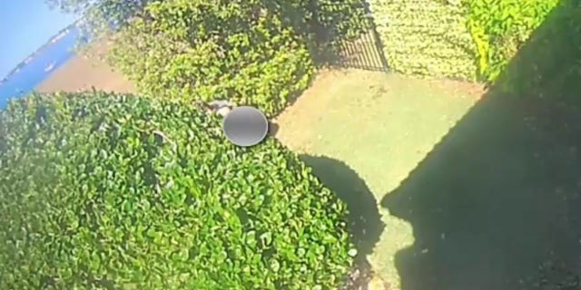 The Polk County Sheriff's Office asked if anyone who recognizes the woman in the surveillance to call the sheriff’s office at 863-298-6200.