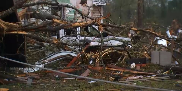 A tornado downed trees and damaged houses in Troup County, Georgia.