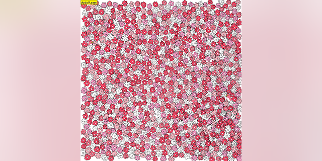 Gergely Dudás, a graphic designer from Budapest, Hungary, drew an image of five stars hidden in a field of multicolored flowers. Can you find all five?