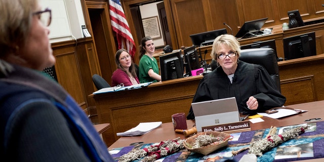 Judge Sally Tarnowski, seen presiding during an Indian Child Welfare Act case hearing in 2019, reportedly died Monday while vacationing in Florida. 