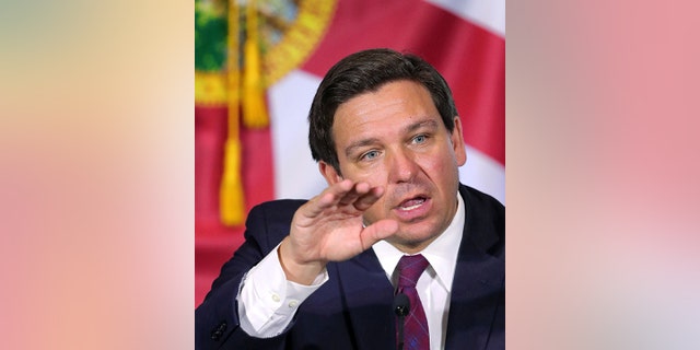 Gov. Ron DeSantis supports eliminating DNI from college curricula.