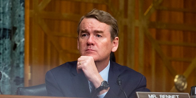 Sen. Michael Bennet, D-Colo., suggests that an agency could be created to regulate the relatively restriction-free AI industry "in the long term."