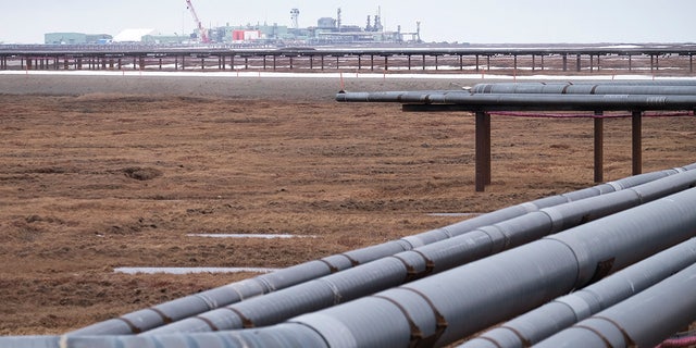 Oil pipelines stretch across the landscape outside Nuiqsut, Alaska, where ConocoPhillips operates the Alpine Field on May 28, 2019.