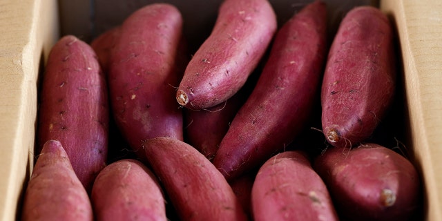 Devarus Hampton's DNA was found on a sweet potato used as a silencer, prosecutors say.