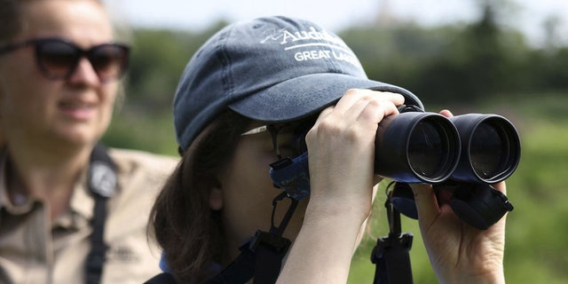 A member of the Great Lakes Audubon Society searches for birds. Several local chapters — including Portland, Seattle and Chicago — have committed to dropping the name Audubon in an effort to be more inclusive.