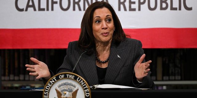Vice President Kamala Harris speaks at the AAPI (Asian American Pacific Islander) Roundtable at Chinatown Chem Mark Lai Library on March 3, 2023 in San Francisco, California, United States. 