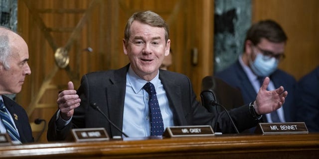 Sen. Michael Bennet, a Democrat from Colorado, told Fox News Digital that Americans should heed the fact that "some of the leading voices in tech" are "ringing alarm bells"