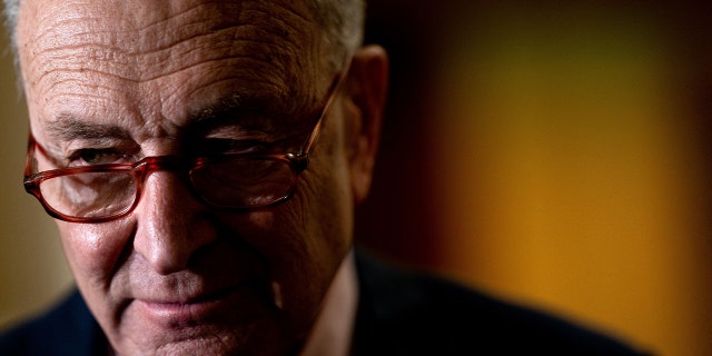 Senate Majority Leader Chuck Schumer said he would make addressing the scourge of xylazine a priority in upcoming budget proposals.