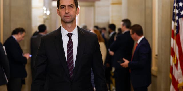 In the press release, Cotton said the "United States shouldn’t actively aid China’s spy operations" by using the platform that can track the military’s supply chains.