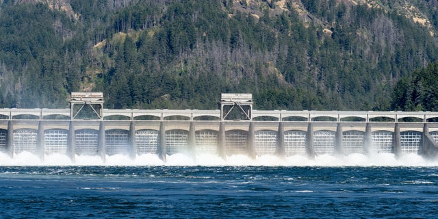 A U.S. Army Corps of Engineers dam is pictured in the Columbia River system in Washington. 