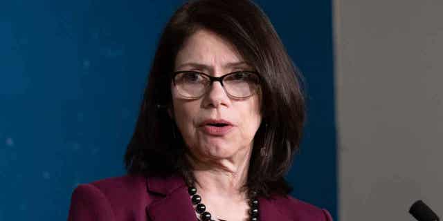 Minnesota Legislature Senate Majority Leader Kari Dziedzic at a morning press conference on Jan. 4, 2023. Dziedzic announced on Tuesday that she has cancer.
