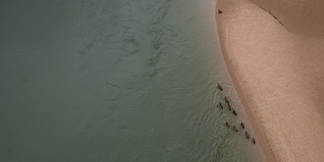 Ducks swim near a sandbar along the side of the Colorado River as it flows below the Historic Navajo Bridge on January 1, 2023, in Marble Canyon, Arizona. 