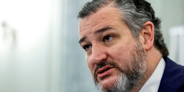 Ranking Member Ted Cruz (R-TX) speaks at a hearing with the Senate Commerce, Science and Transportation Committee on Capitol Hill on March 1, 2023 in Washington, D.C.