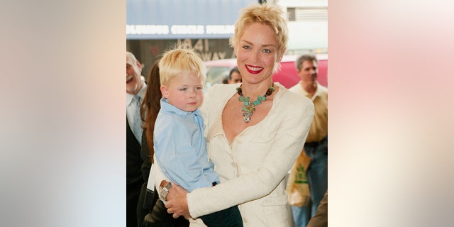 Sharon Stone says her role in "Basic Instinct' was brought up in court proceedings involving her son, costing her custody.