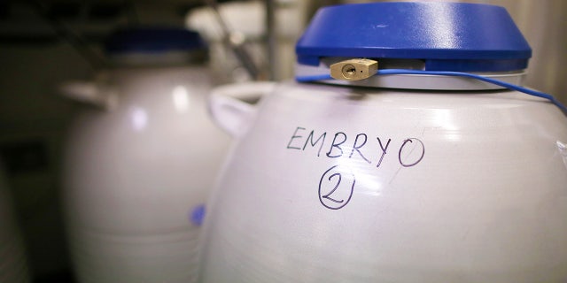 Fertilized embryos are stored in liquid nitrogen-filled tanks to keep them as new if patients require them at a later date.