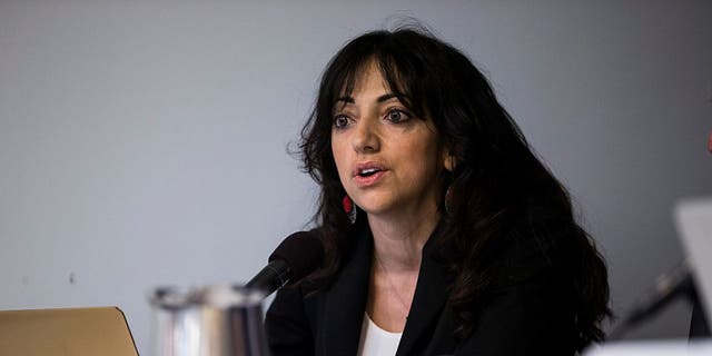 Huwaida Arraf, a dual U.S. and Israeli citizen, speaks about her experience during the IDF assault on the 2010 Gaza Freedom Flotilla during a press conference with her lawyers and other legal experts at the National Press Club in Washington Jan. 12, 2015.