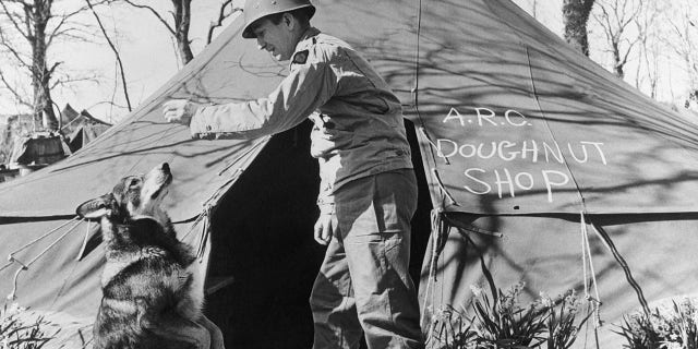 Chips, a war dog who was recommended for gallantry in the Sicilian campaign, is shown getting a donut from a GI.