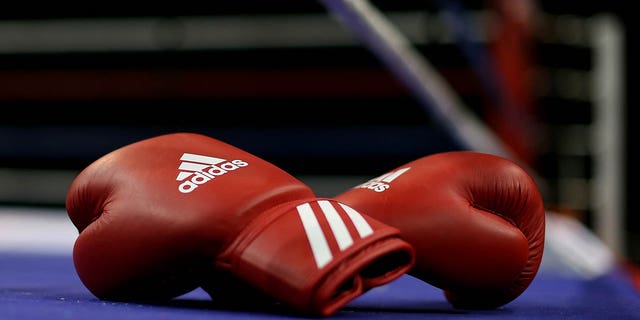 A detailed display of boxing gloves ringside during day one of the Boxing Elite National Championships at Echo Arena on April 29, 2016 in Liverpool, England.  
