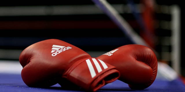 A detailed display of boxing gloves ringside during day one of the Boxing Elite National Championships at Echo Arena on April 29, 2016 in Liverpool, England.