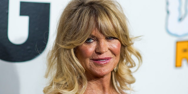 Goldie Hawn shared her disdain for cancel culture and the current climate of Hollywood.