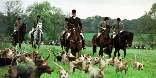 Charles, the then-Prince of Wales, right, and his eldest son Prince William, second left, riding with the Beaufort Hunt on the first day of the foxhunting season at Shipton Moyne. Hunting is a notable pastime for the British aristocracy.