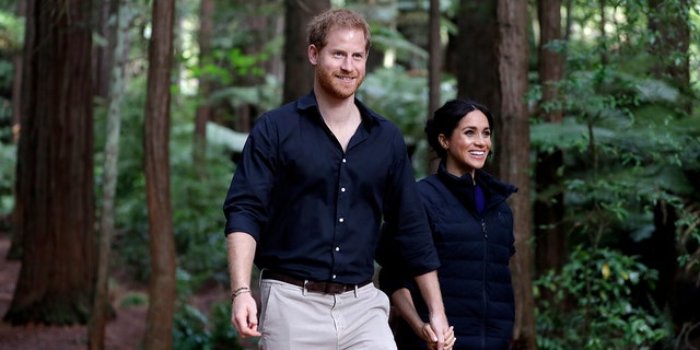 Some classmates from Eton alleged Prince Harry, left, became a "tree-hugger" after meeting Meghan Markle.