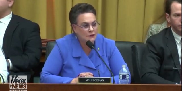 Harriet Hageman hearing