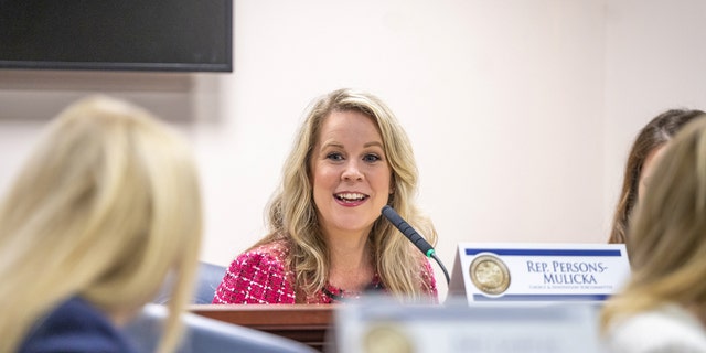 Florida Rep. Jenna Persons-Mulicka, R- Fort Myers, offers comments during a Jan. 4, 2023, committee hearing.