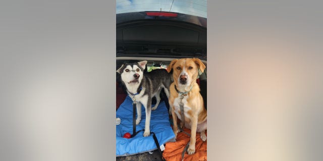 The Lankston's have another dog, River, and the two "just hit it off," Lankston shared.