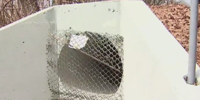 Five boys, ages 11 and 12, lifted a fence and crawled into a storm drain tunnel for fun at the intersection of Martling Avenue and Clove Road by the Staten Island Zoo.