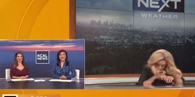 Alissa Carlson Schwartz passed out during a televised weather report.