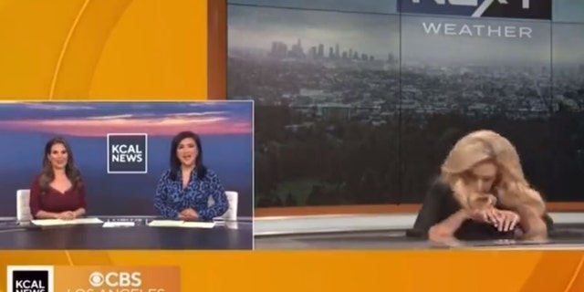 Alissa Carlson Schwartz fainted during a televised weather report.