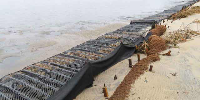 Logs of coconut husk known as coir sit on the bank of the Shark River in Neptune, New Jersey, on Jan. 31, 2023. The material is being used in shoreline stabilization projects around the world. 