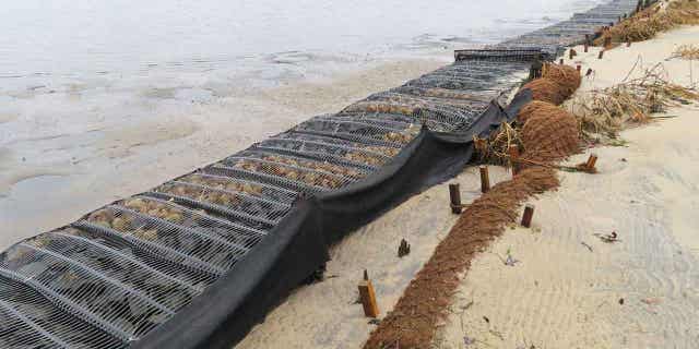 Logs of coconut husk known as coir sit on the bank of the Shark River in Neptune, New Jersey, on Jan. 31, 2023. The material is being used in shoreline stabilization projects around the world.
