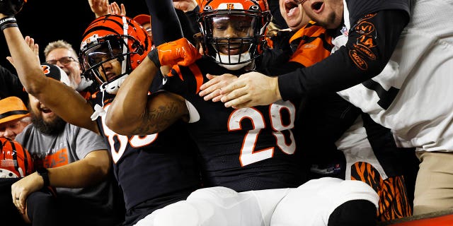 #83 Tyler Boyd y #28 Joe Mixon de los Cincinnati Bengals celebran la recepción de touchdown de Mixon contra los Buffalo Bills en el primer cuarto en el Paycor Stadium el 2 de enero de 2023 en Cincinnati.